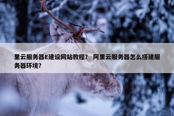 里云服务器E建设网站教程？ 阿里云服务器怎么搭建服务器环境？