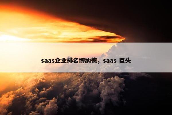 saas企业排名博纳德，saas 巨头