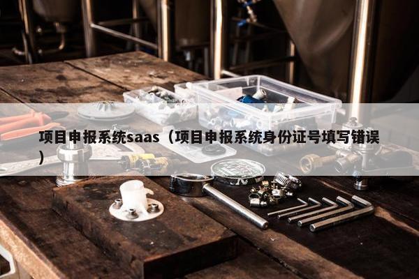 项目申报系统saas（项目申报系统身份证号填写错误）