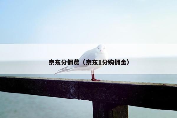 京东分佣费（京东1分购佣金）