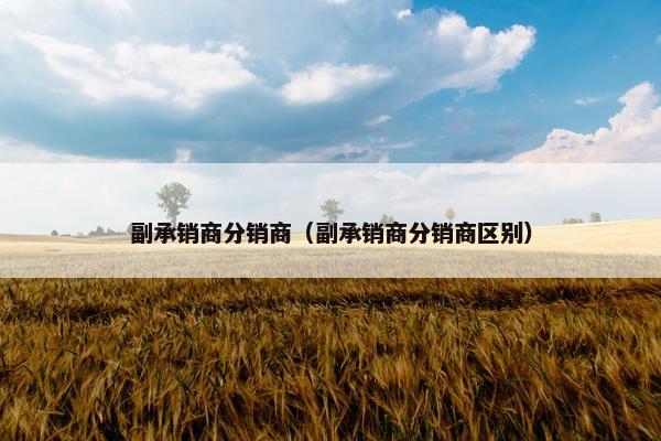 副承销商分销商（副承销商分销商区别）