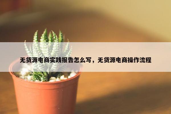 无货源电商实践报告怎么写，无货源电商操作流程