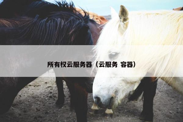 所有权云服务器（云服务 容器）