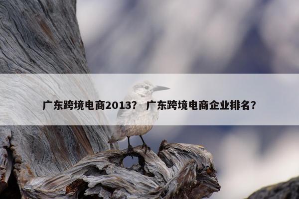 广东跨境电商2013？ 广东跨境电商企业排名？
