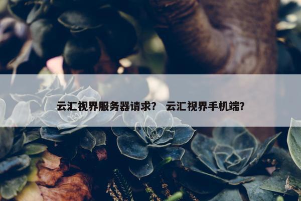 云汇视界服务器请求？ 云汇视界手机端？