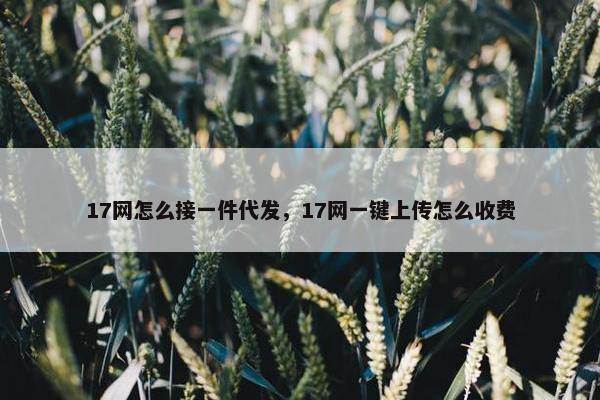 17网怎么接一件代发，17网一键上传怎么收费