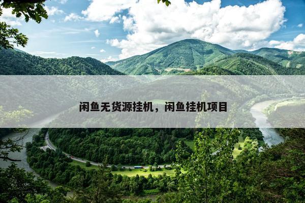 闲鱼无货源挂机，闲鱼挂机项目