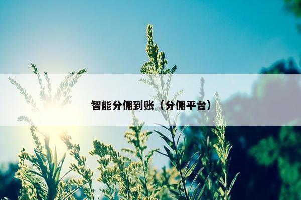 智能分佣到账（分佣平台）