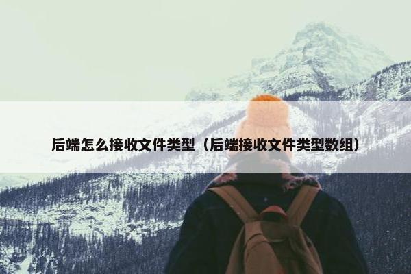 后端怎么接收文件类型（后端接收文件类型数组）