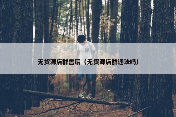 无货源店群售后（无货源店群违法吗）
