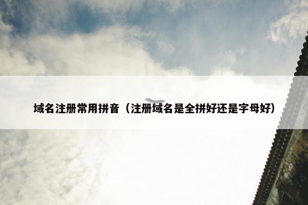 域名注册常用拼音（注册域名是全拼好还是字母好）