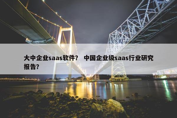 大中企业saas软件？ 中国企业级saas行业研究报告？