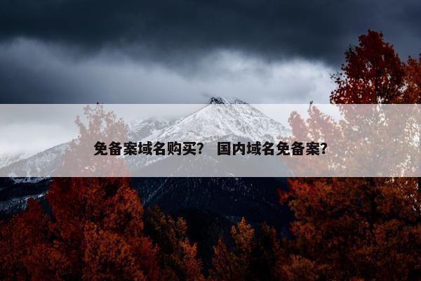 免备案域名购买？ 国内域名免备案？