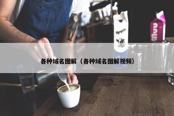各种域名图解（各种域名图解视频）