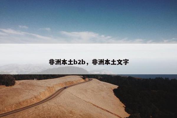 非洲本土b2b，非洲本土文字