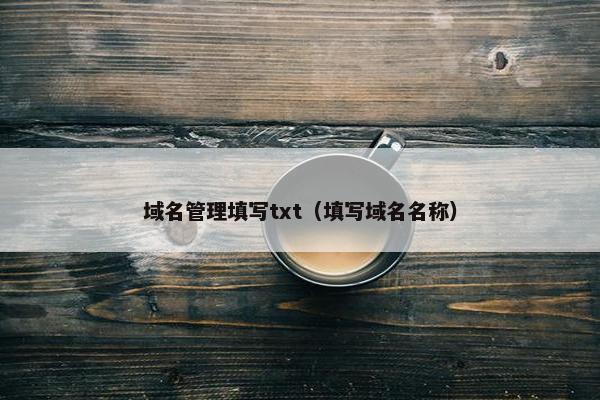 域名管理填写txt（填写域名名称）