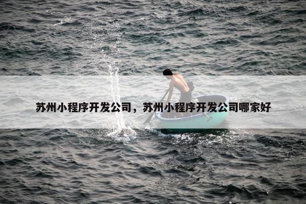 苏州小程序开发公司，苏州小程序开发公司哪家好