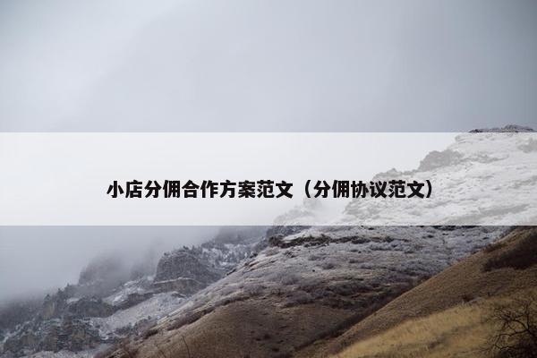 小店分佣合作方案范文（分佣协议范文）